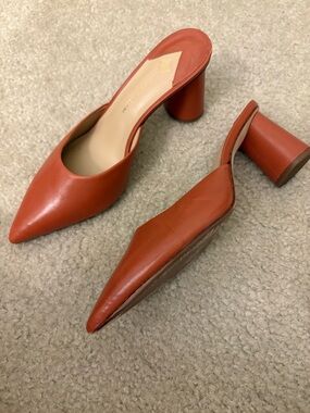 Women's Pointed Toe Mule Heels in Terracotta